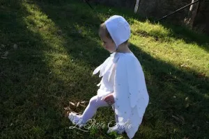 lepetitearbre.com