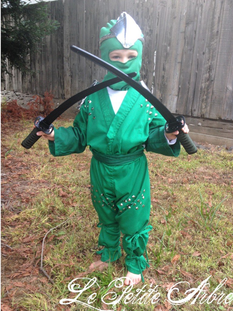 Lloyd (Green) Ninjago Costume