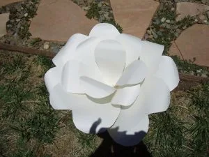 Lepetitearbre.com